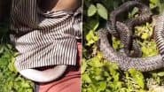 Snake Inside Shirt Video: पेड़ के नीचे सो रहे शख्स की शर्ट में घुसा खतरनाक ब्लैक कोबरा, उसके बाद जो हुआ देखें वीडियो